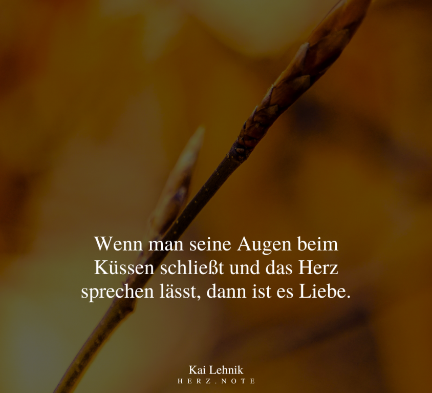 lorem Ipsum proin 6 (Demo)